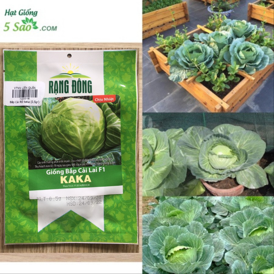Bắp Cải RĐ KAKA chịu nhiệt