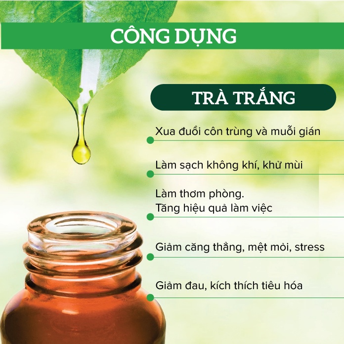 Tinh dầu hữu cơ Organic Trà Trắng Ấn Độ NAM HOA.