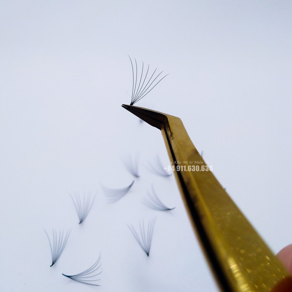 Mi Fan 7d - 0.07 - 500fan - Mi Fan/ Xuất Khẩu - Dụng Cụ Nối Mi - Huy Hoàng Mi