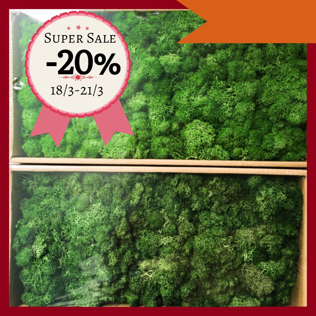 Rêu vĩnh cửu Decoration - Chất lượng châu Âu-250g
