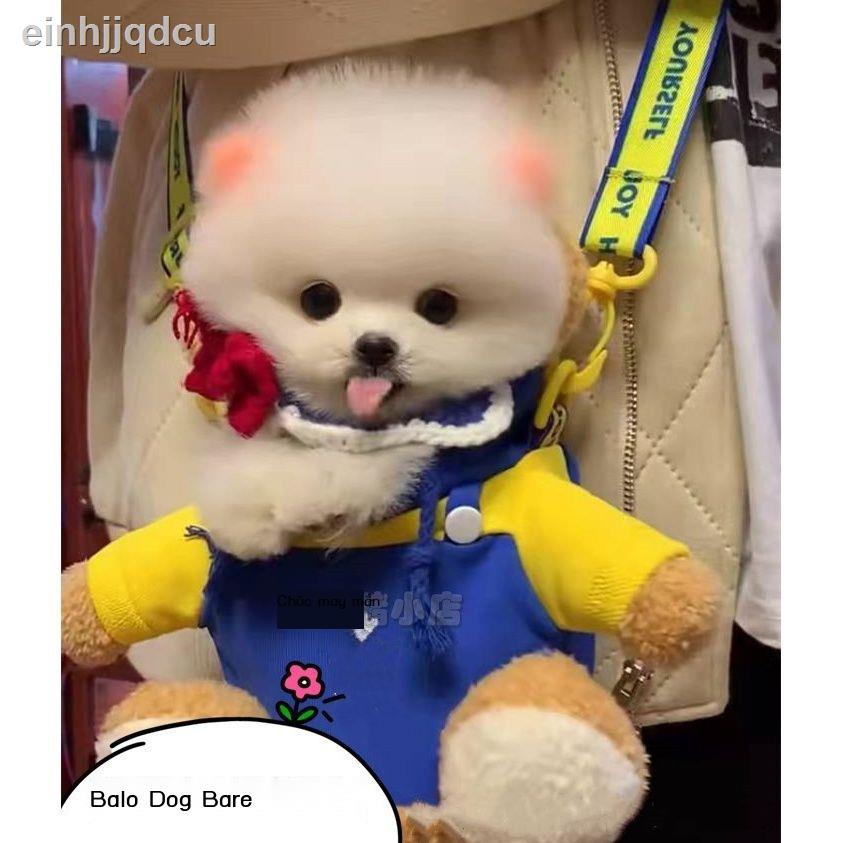 ▣Chó ló đầu và vươn đầu, đeo vai, ba lô, Pomeranian teaup, nhỏ, đi chơi, sổ đỏ bé thở, rung