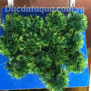 Cây hoa cỏ nhựa cao cấp
