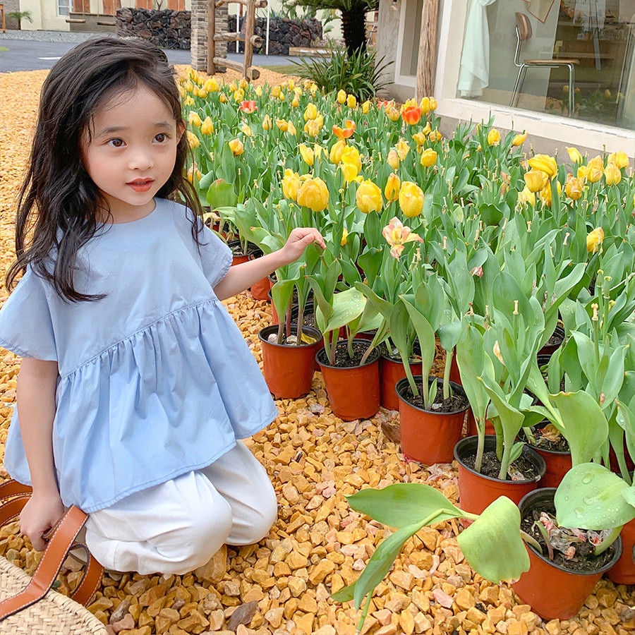 Áo Sơ Mi Cotton Mỏng Tay Ngắn Phong Cách Nhật Hàn Thời Trang Mùa Hè Hàng Mới 2022 Dành Cho Bé Gái