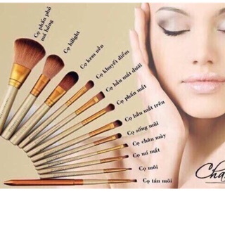 🌸🌸🌸BỘ CHỔI CỌ TRANG ĐIỂM 12 MÓN ₫(55.000)
