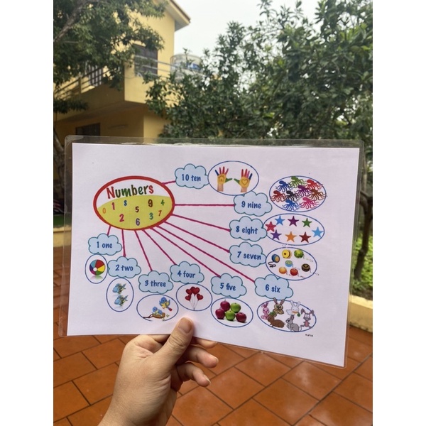 HỌC LIỆU Sơ đồ tư duy Mind map, bé học Tiếng Anh