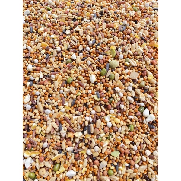 Ngũ cốc 20 loại hạt giá rẻ cho chim cu gáy giá rẻ