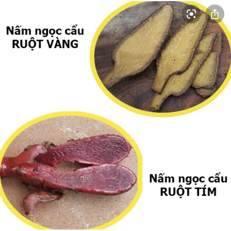 1kg Nấm ngọc cẩu tươi - HÀNG ĐẢM BẢO CHẤT LƯỢNG 100% - DƯỢC LIỆU HÀ HOÀNG