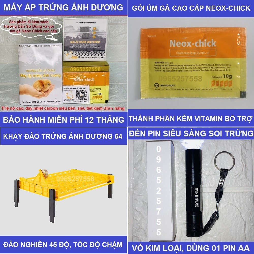 Combo 3 món: máy ấp trứng Ánh Dương P100+ khay đảo trứng tự động+ đèn pin soi trứng