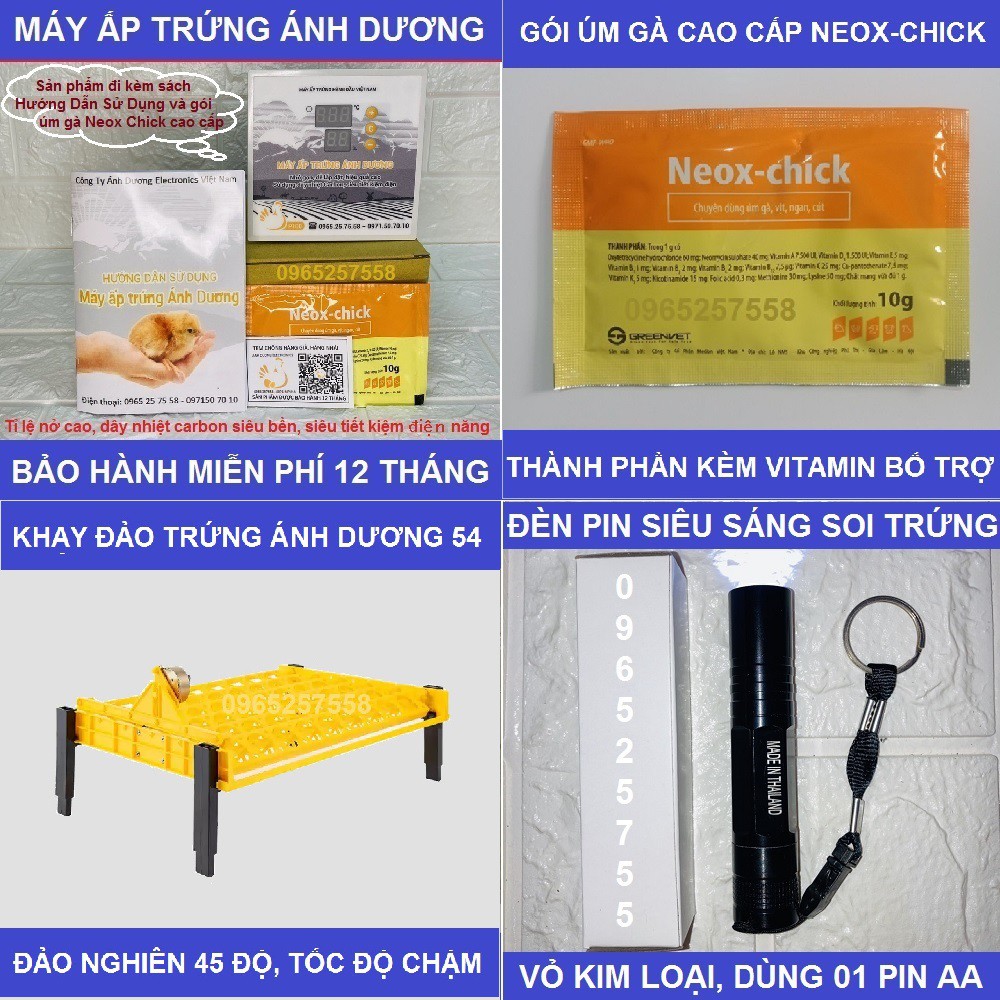 3 Món máy ấp trứng Ánh Dương P100, Khay đảo tự động 54 quả, Đèn pin soi trứng, Vitamin úm gà cao cấp