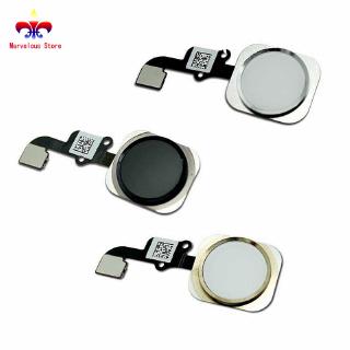Cáp nhận diện dấu vân tay và nút home điện thoại IPhone 6/6 Plus