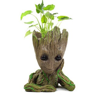 Hộp Đựng Bút Groot (Chậu Cây Mini) - 14cm