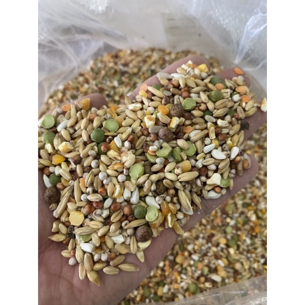 Ngũ Cốc Chiến Kê dành cho gà đá (1kg) - Pet Food Store.