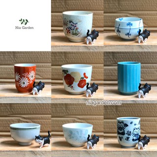 Ly gốm nhật trồng sen đá - gsn