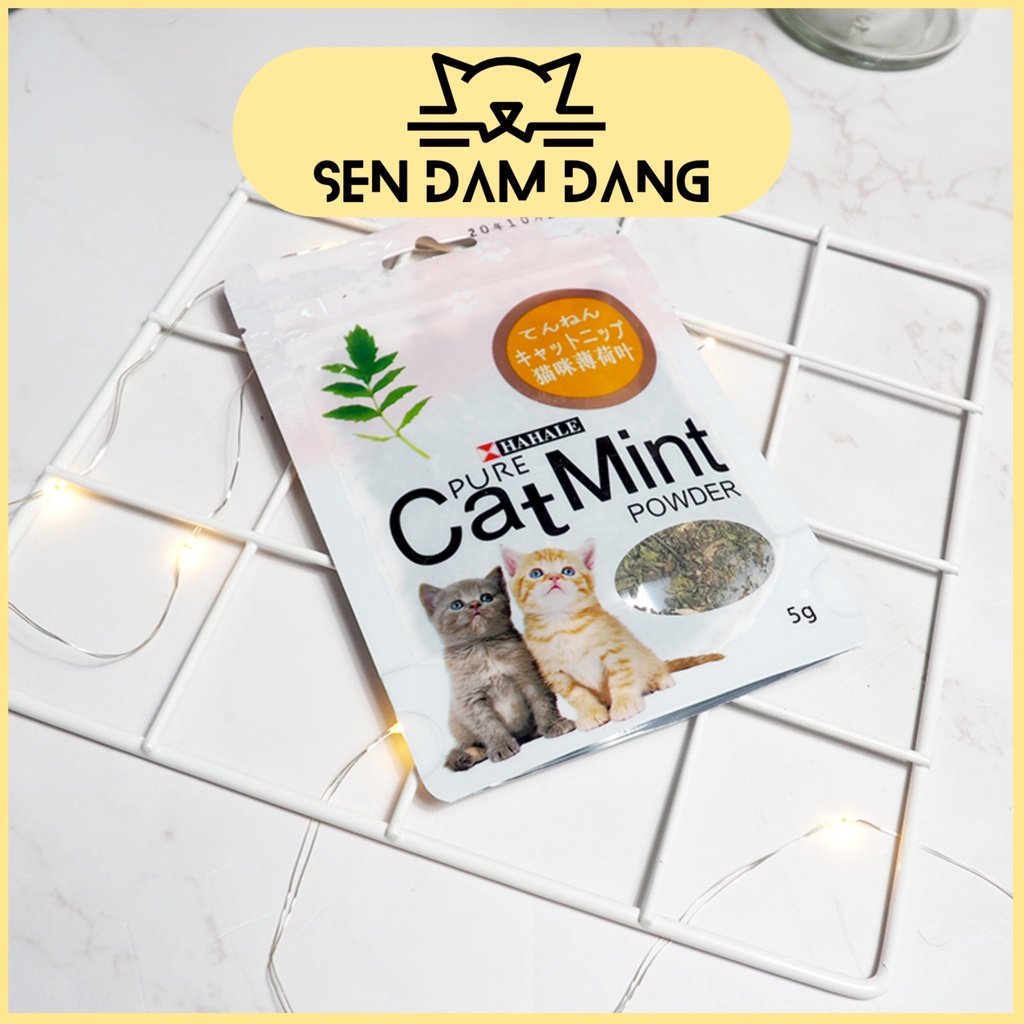 Cỏ Mèo Catmint Cho Mèo - 5G