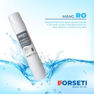 MÁY LỌC NƯỚC FORSETI FWP-620