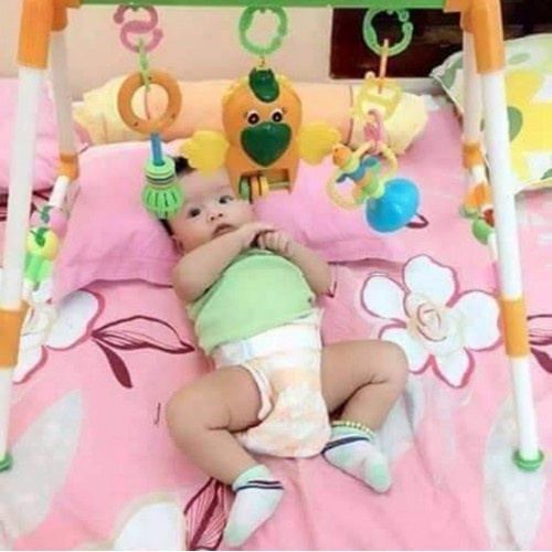 KỆ CHỮ A PHÁT NHẠC HÌNH CON VẸT GIÁ TỐT