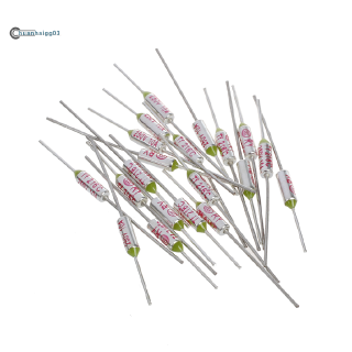 Set 20 Cầu Chì Nhiệt Ry Series Tf 216 Celicaus 250v 10a