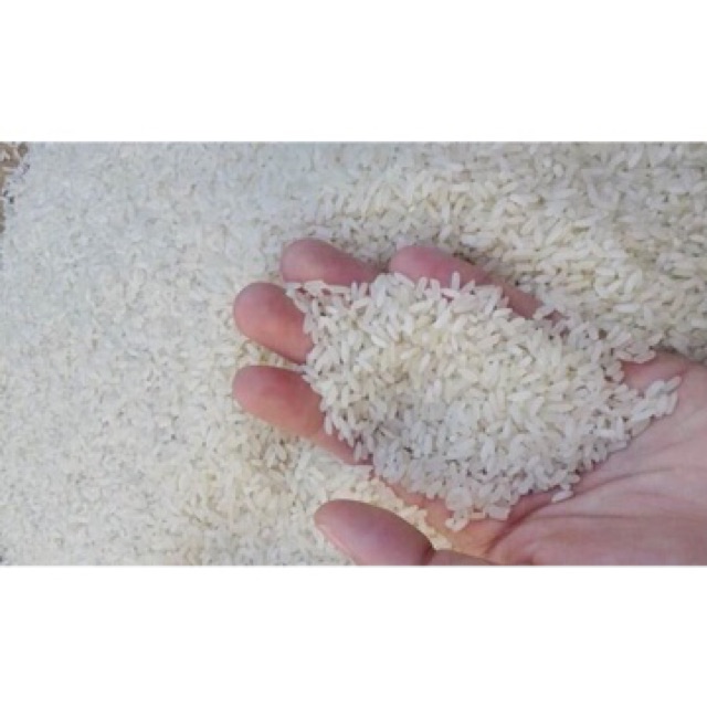 Gạo tám thơm hải hậu bao 10kg