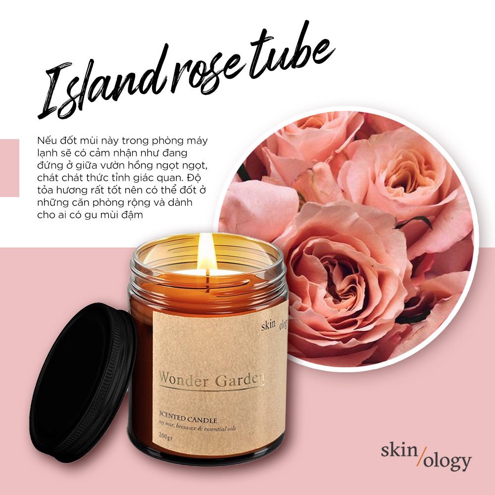 NẾN THƠM CAO CẤP HÀN QUỐC CHÍNH HÃNG SKINOLOGY