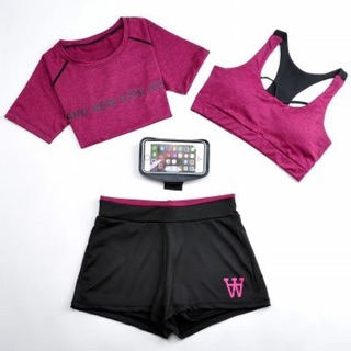 Set đồ tập gym/ yoga/ aerobic N303