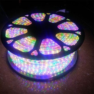 Cuộn dây đèn nháy led nhiều màu và đơn màu 100 mét khuyến mại 1 nguồn