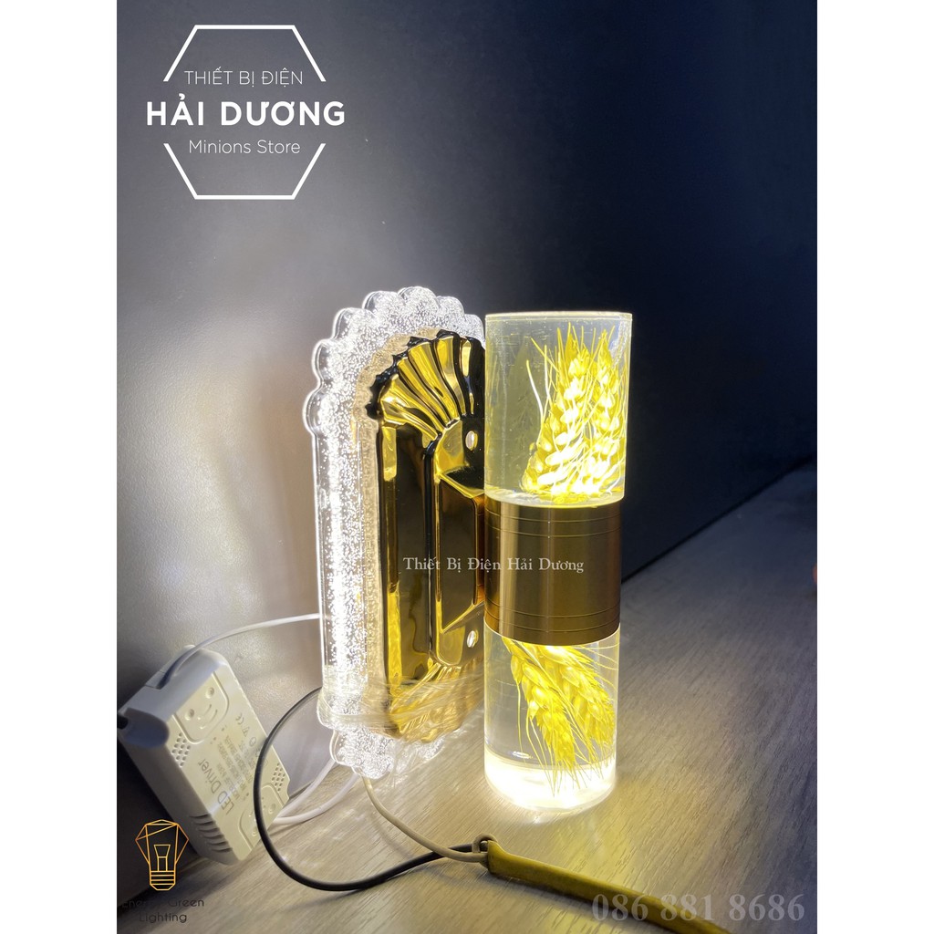 Đèn Led Treo Tường Hiện Đại Thả Thuỷ Tinh 24w Phong Cách Bắc Âu Vintage Thiên Nhiên-Ánh Sáng Vàng- Energy Green Lighting
