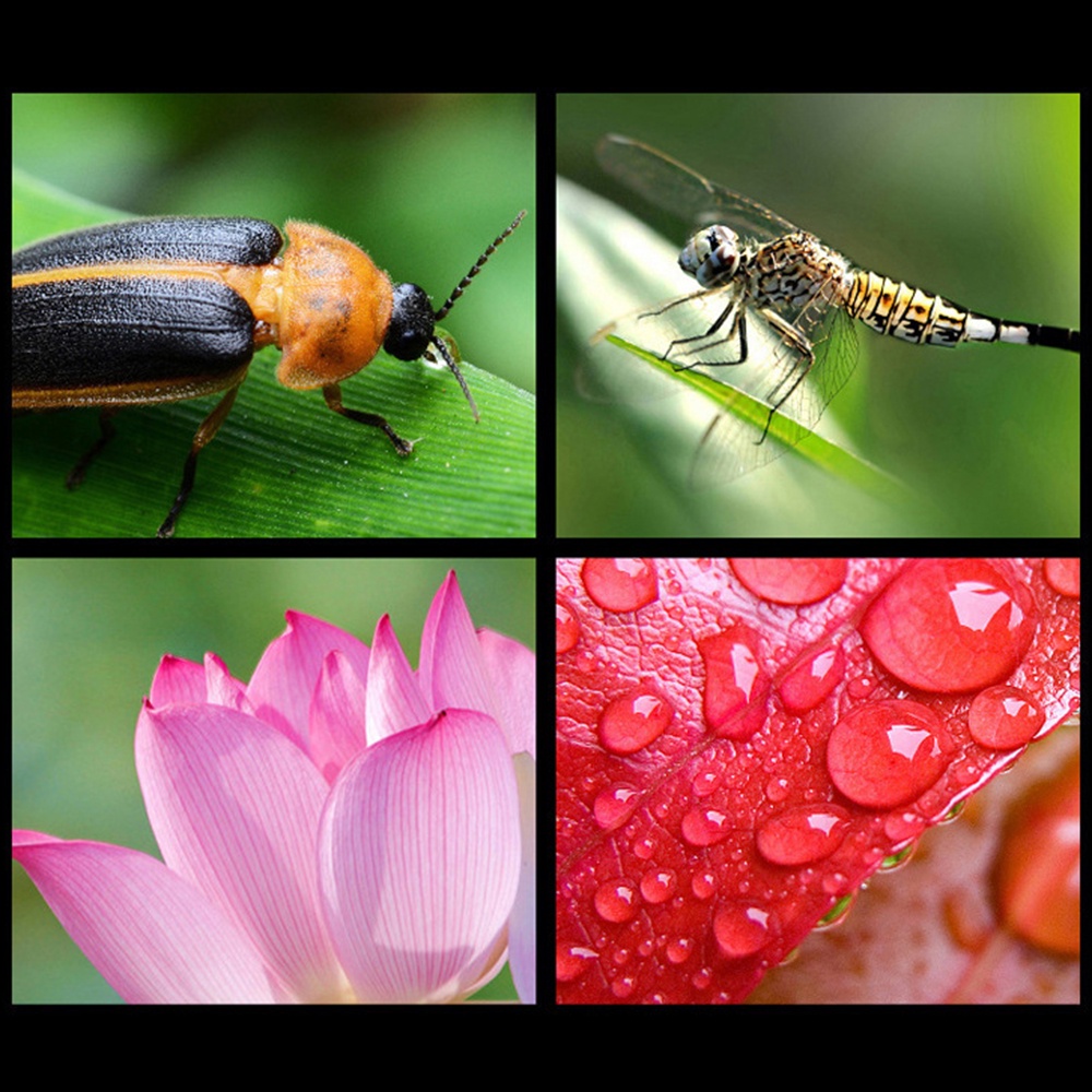 Ống Kính Góc Siêu Rộng 37MM 0.45X 49UV + macro Cho Điện Thoại