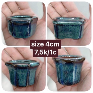 Chậu hoả biến siêu mini siêu cute size 2-4cm