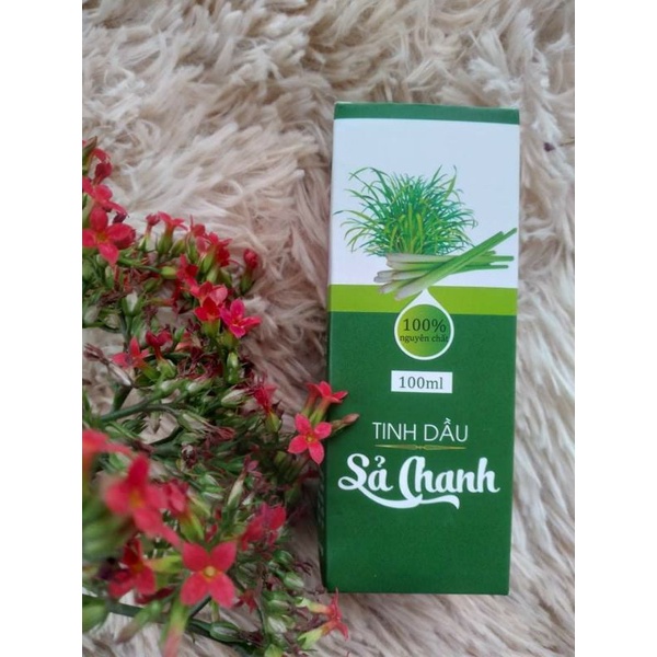 Tinh dầu Sả Chanh 100ml