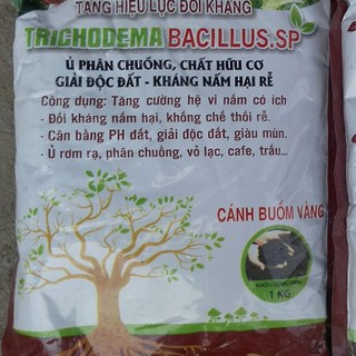 Nấm đối kháng Trichodema gâm ủ xử lý phân bón cho lan và cây trồng nhập khẩu-  chuyên dụng.