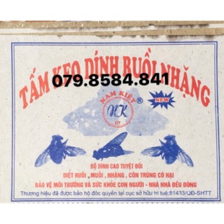 50 miếng Keo dính ruồi nhặng