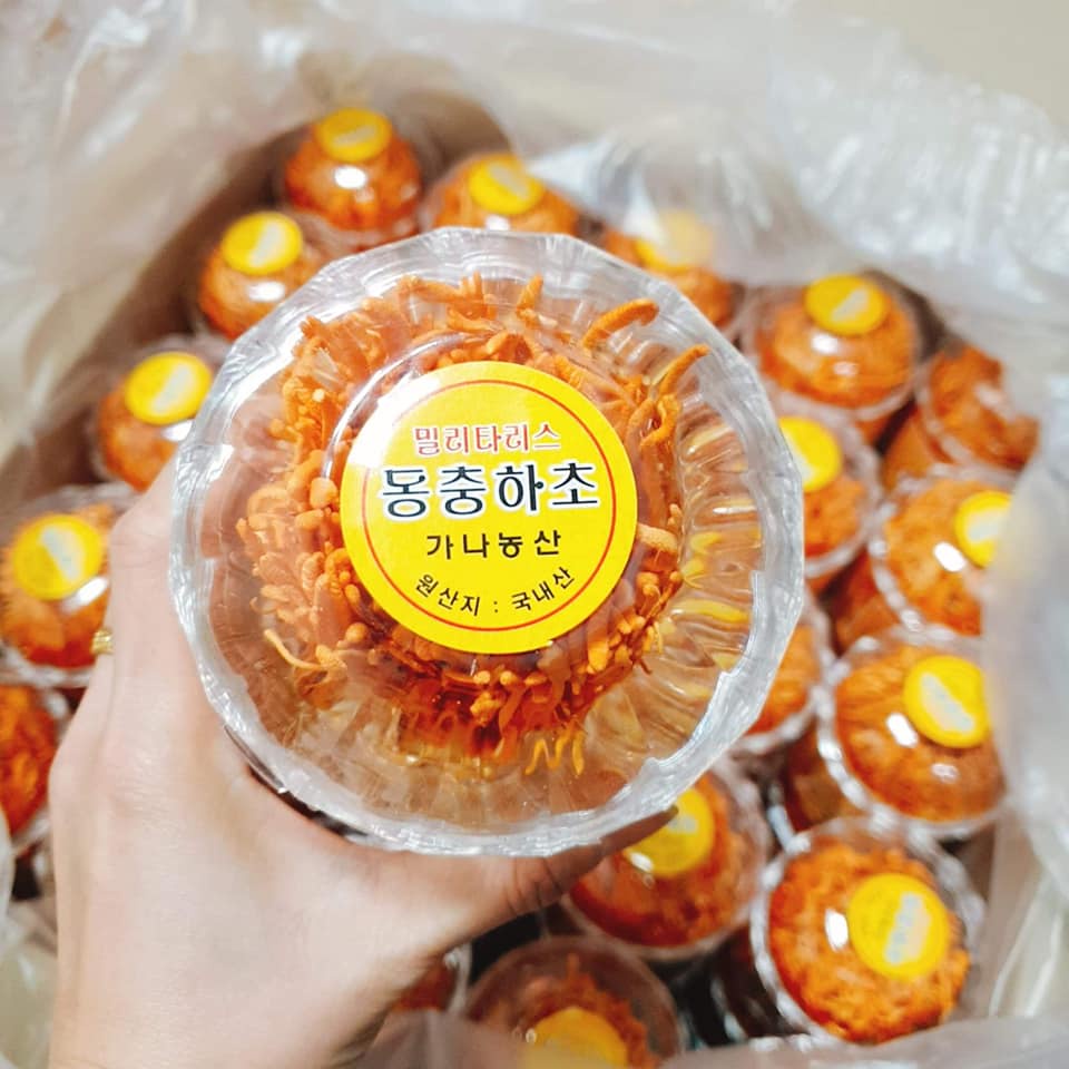 Bông Đông Trùng Hạ Thảo Hàn Quốc 45g | BigBuy360 - bigbuy360.vn