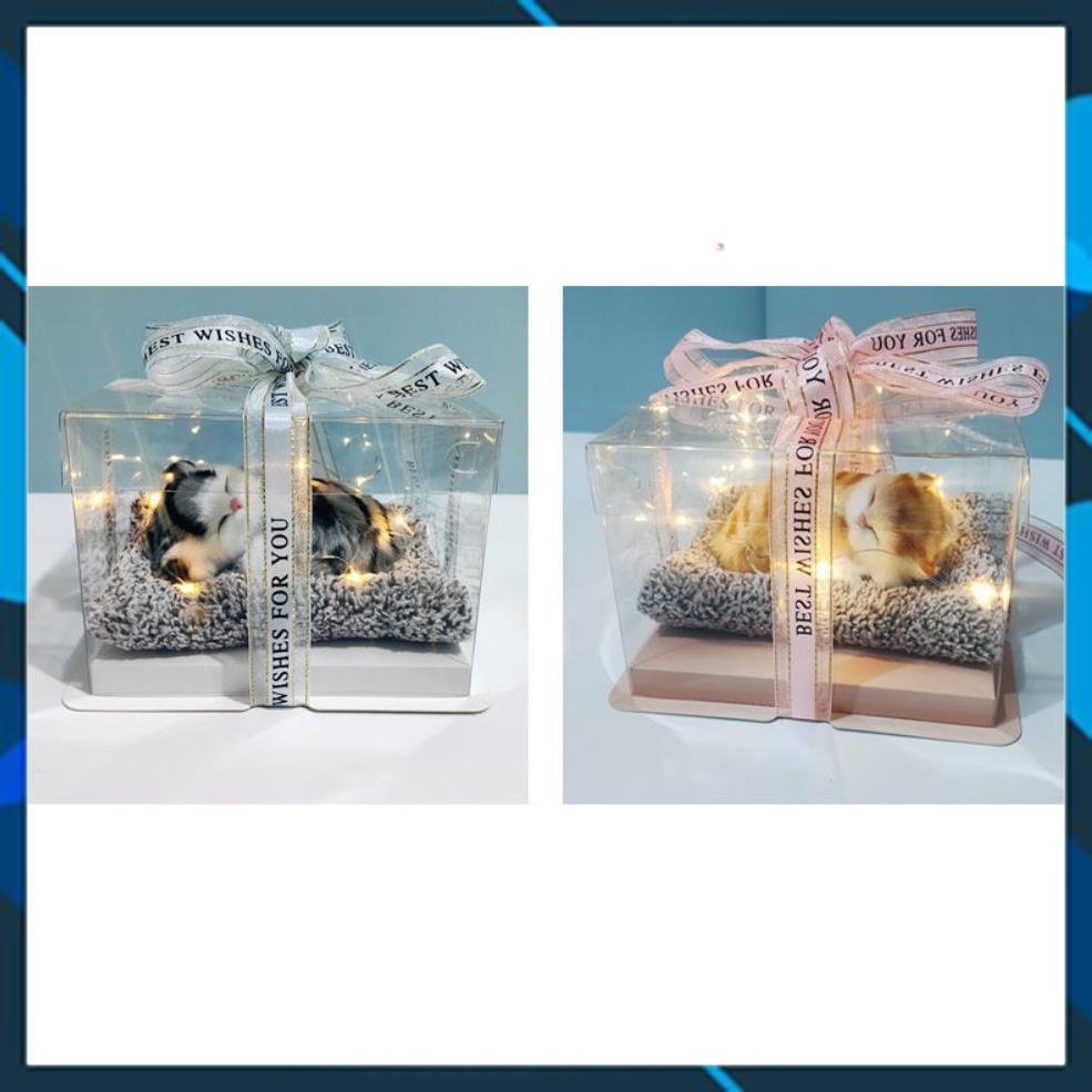 Hộp Quà Trong Suốt Thú Cưng Dễ Thương, Decor Phòng Ngủ, Bàn Làm Việc, Quà Tặng Sinh Nhật - Noel