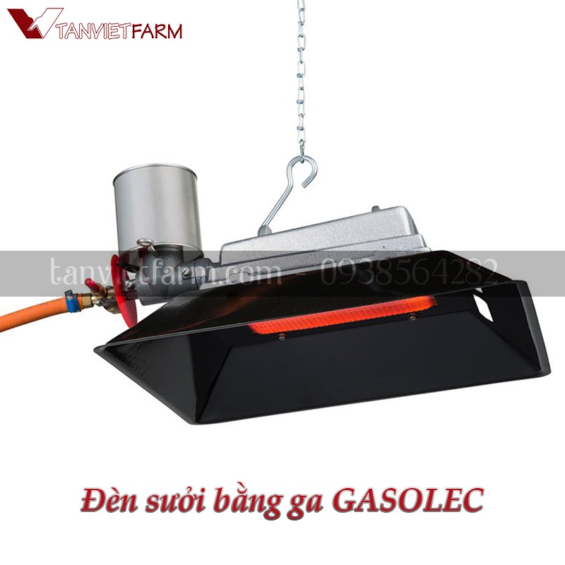 Bộ đèn sưởi bằng ga hiệu GASOLEC