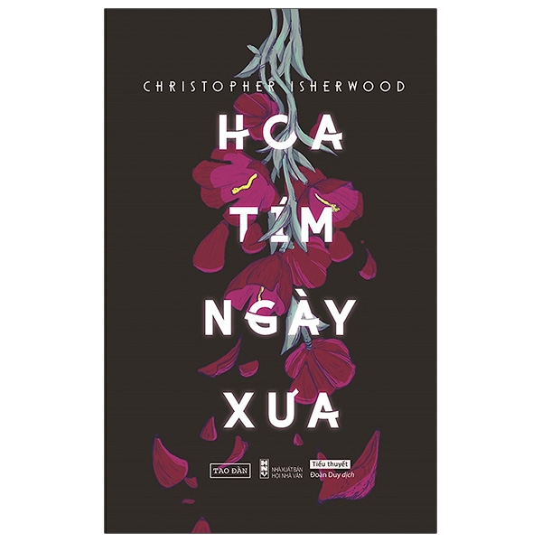 Hoa Tím Ngày Xưa