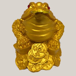 Cóc Vàng Poly Nhỏ PT0091