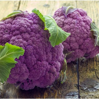 Hạt Giống Súp Lơ Tím