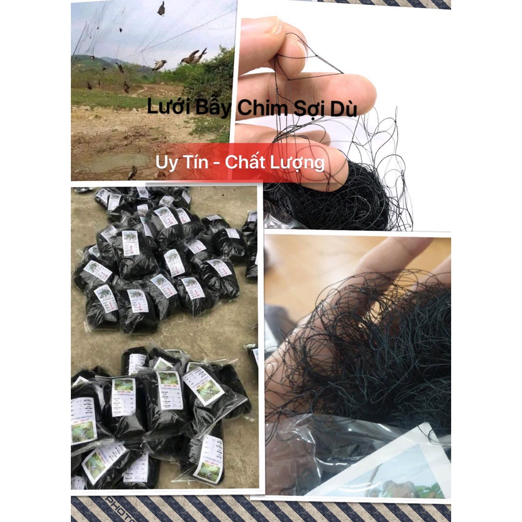 Lưới Bẫy Chim sợi dù Thái Lan. Cao 3m-5m dài 10m - 30m. Hàng chất lượng, siêu bền. Lưới Chim