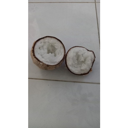 DỪA SỈ COMBO  4 TRÁI ĐẶC BIÊT 5 KÝ