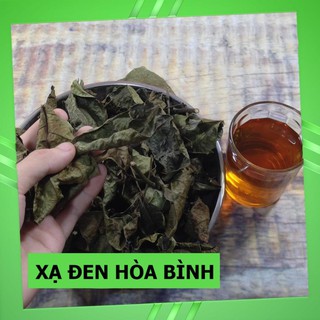 [FreeShip] Cây Xạ Đen - Hàng Rừng