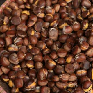 Combo 2kg Hạt dẻ sống ( loại 1)