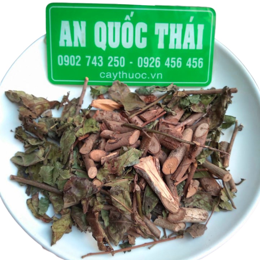 100g Cây Xạ Đen Hòa Bình (Khô, Sạch), Thân, Lá Xạ Đen Ngừa Ung Thư, U Bướu, Tốt Cho Người Tiểu Đường