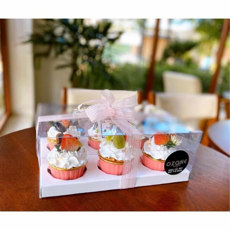hộp cupcake 6 lỗ nhựa trong cứng cáp sang trọng