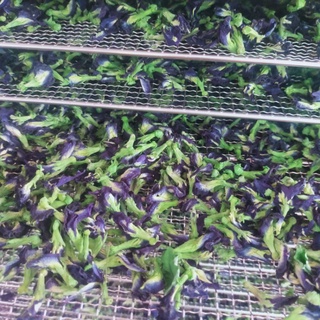 Hoa đậu biếc khô 1kg