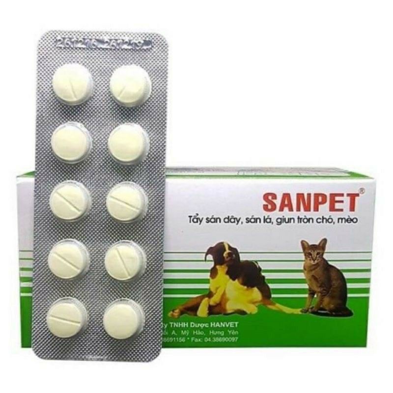Combo Đồ Dùng Chăm Sóc Thú Cưng Chó Mèo Siêu Rẻ