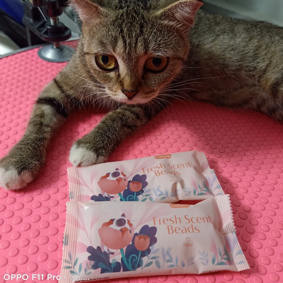 Hạt khử mùi cát vệ sinh mèo Cature - Gói dùng thử