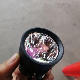 đèn l4x kính tím f1