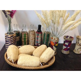 (HCM) XƠ MƯỚP 100% THIÊN NHIÊN KHÔNG CHẤT BẢO QUẢN DÙNG LÀM BÔNG TẮM BÔNG TẨY TRANG MIẾNG RỬA CHÉN - XƠ MƯỚP VƯỜN NHÀ