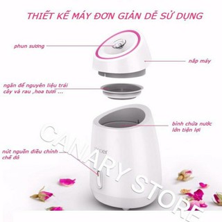 máy xông da mặt hoa quả tươi