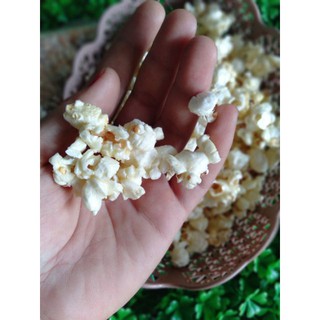 { 1KG } BẮP MỸ LÀM BẮP RANG BƠ